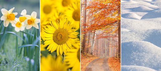 Seasonal changes impact on hair and scalp
